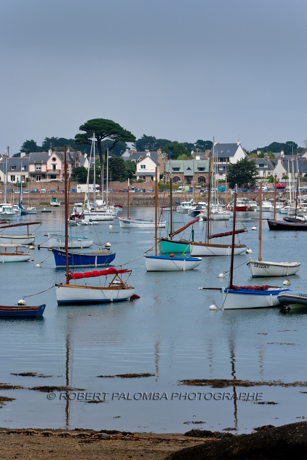 Trégastel