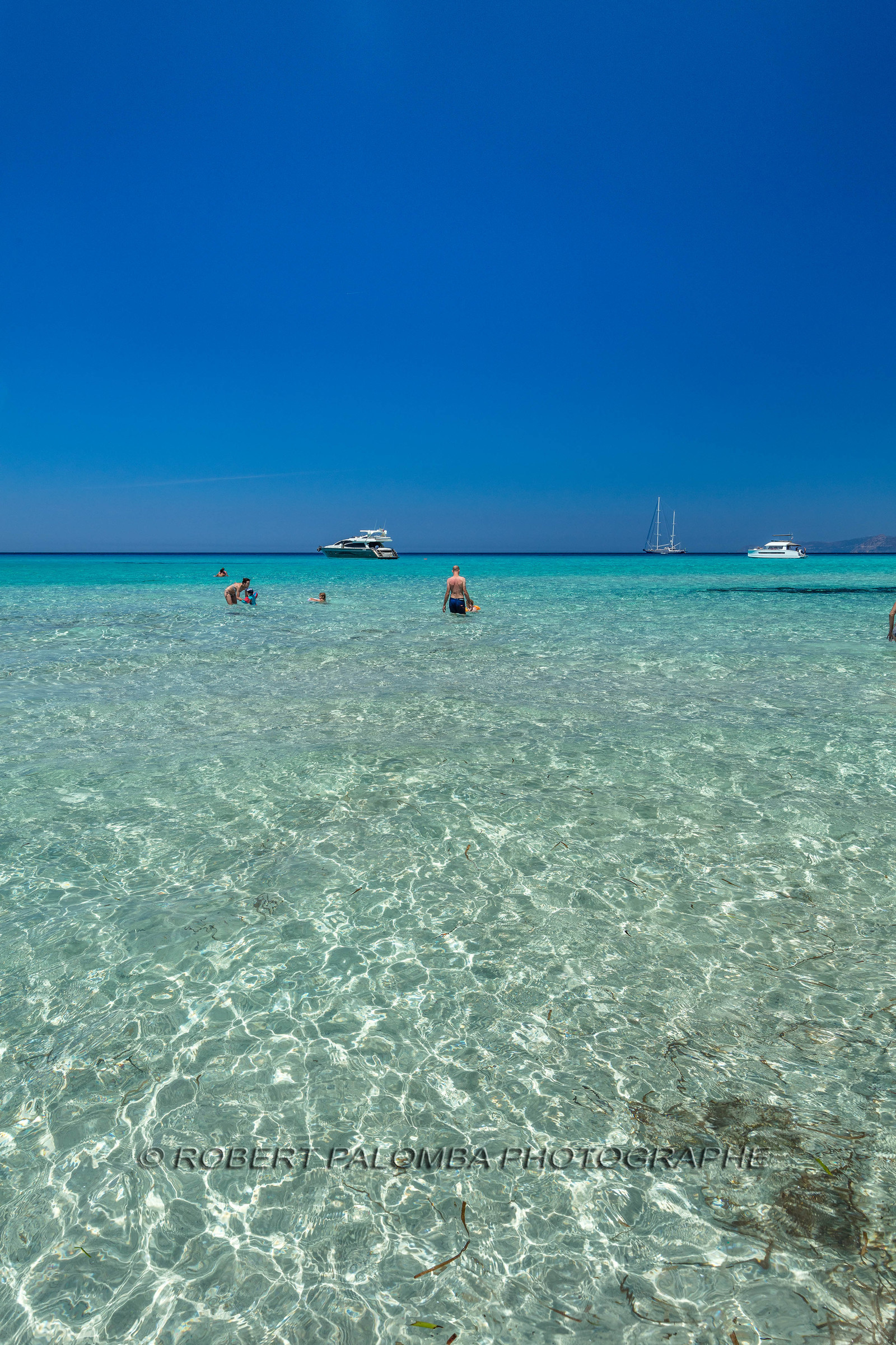 Saleccia
