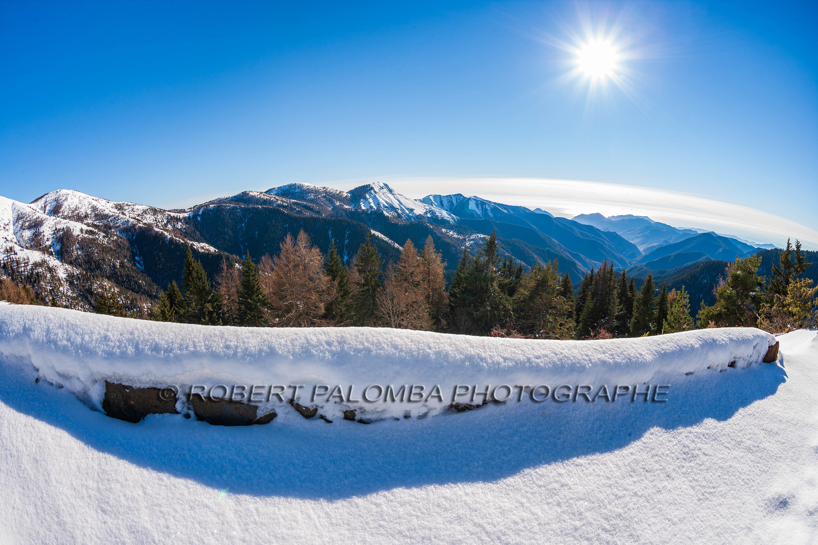 Turini