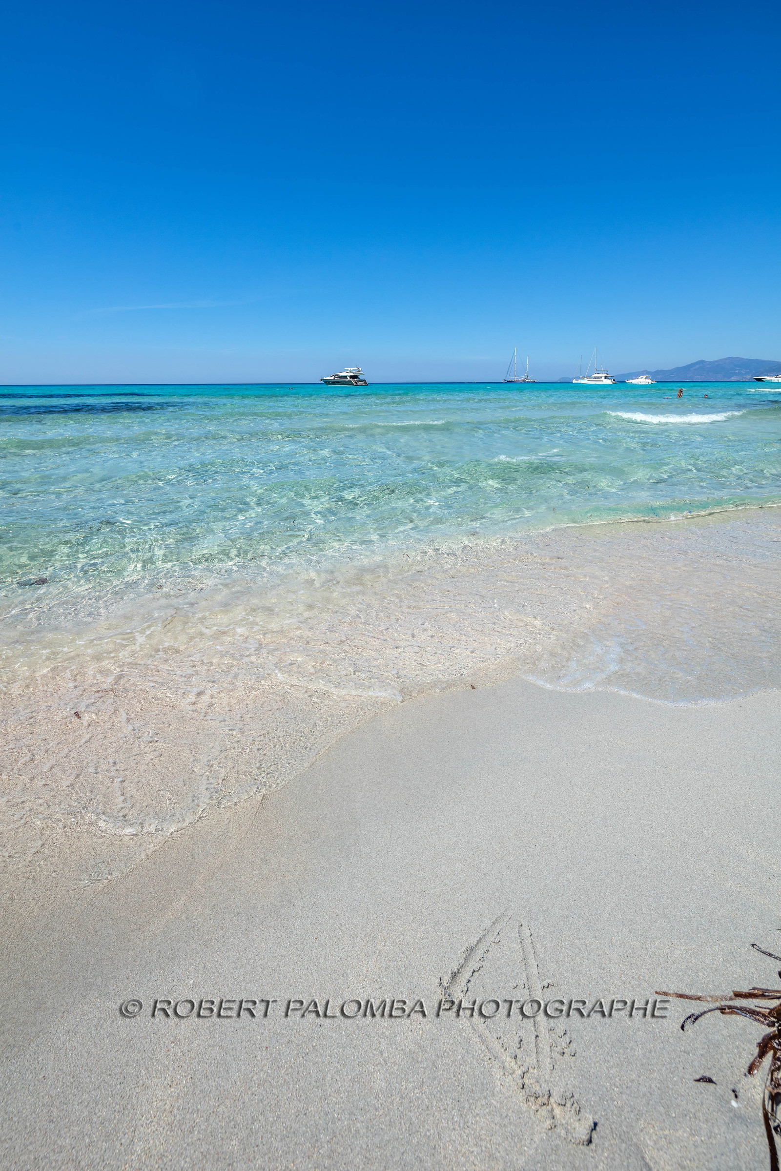 Saleccia