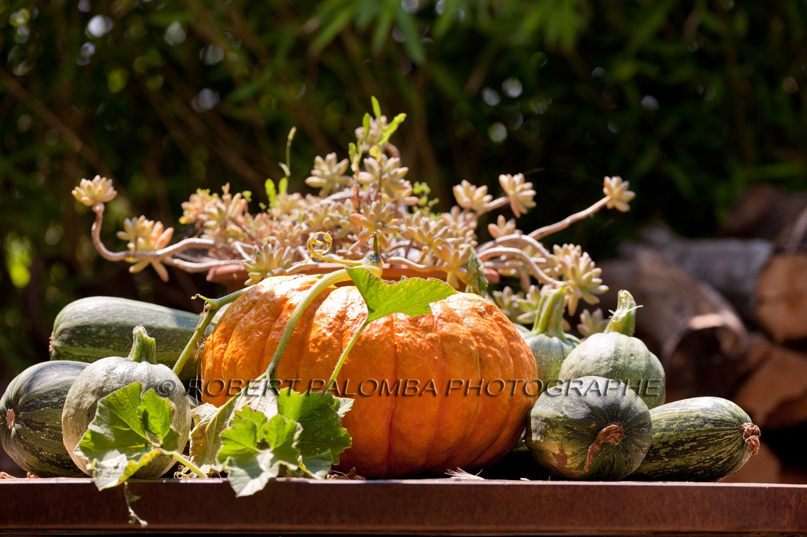 Légumes