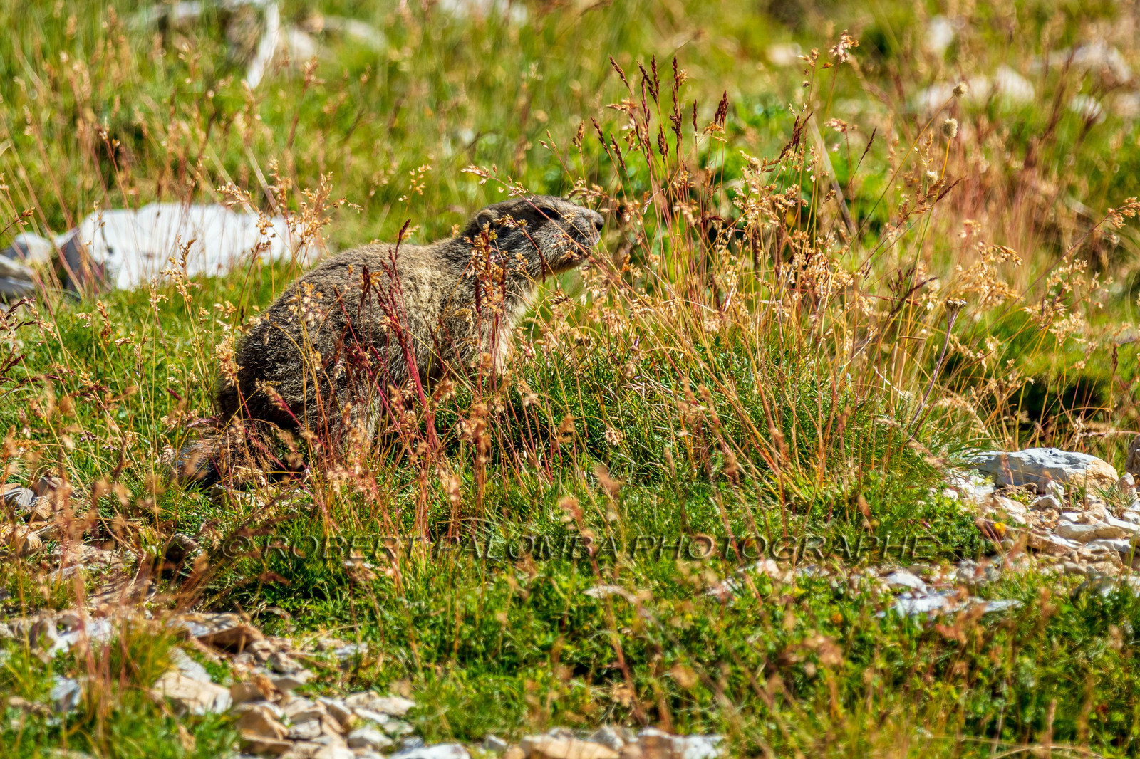 Rando des trois lacs