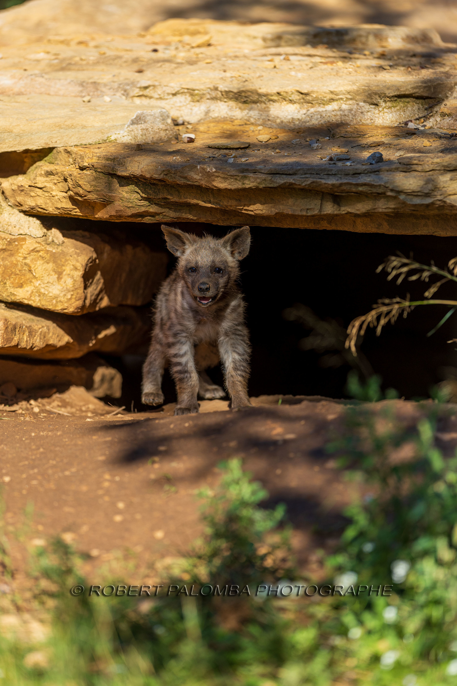 Parc animalier de la Barben