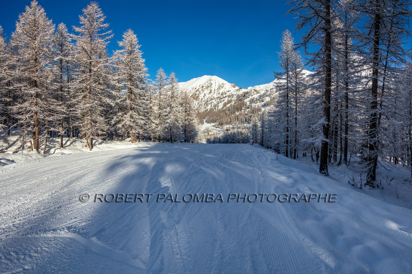 Isola 2000