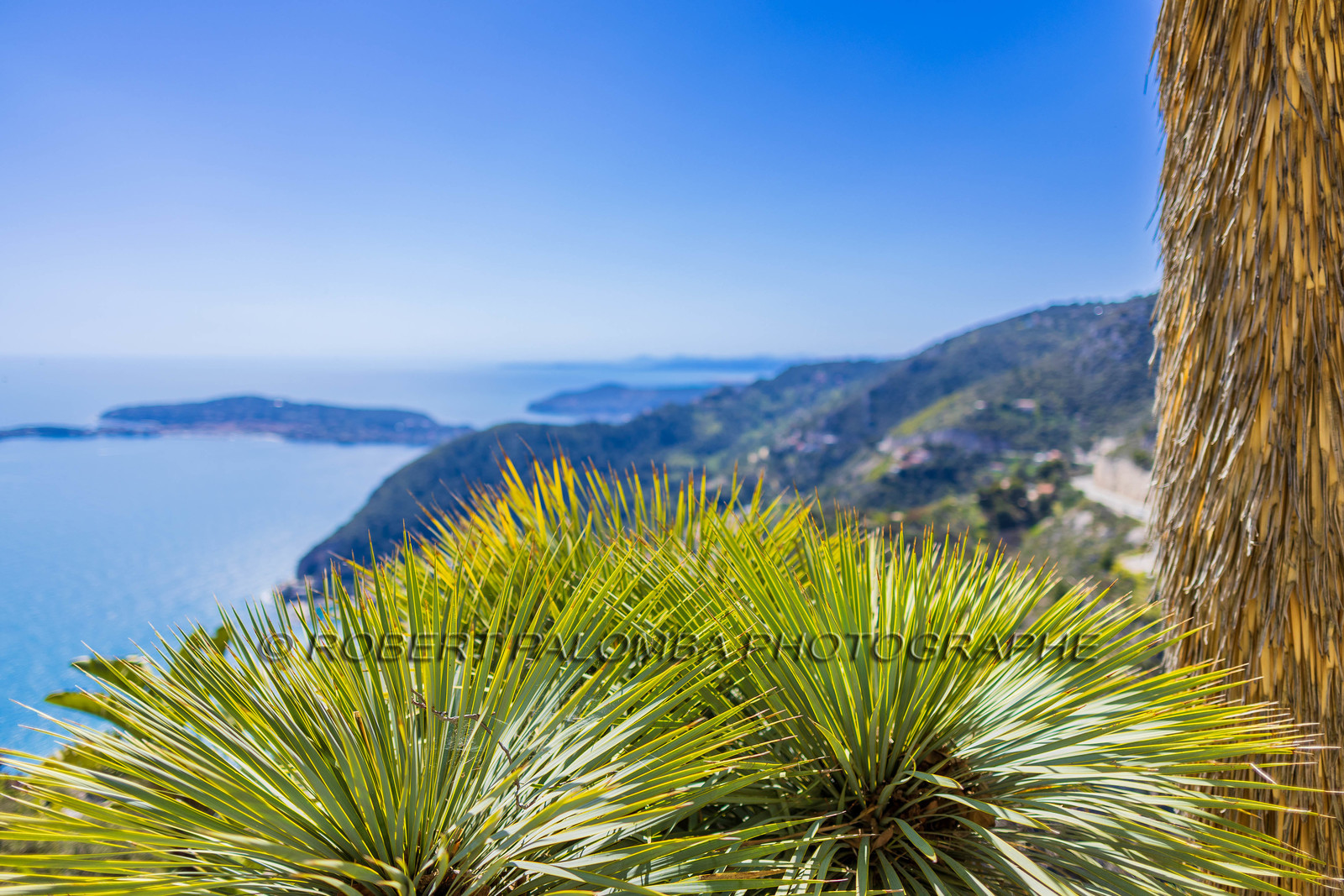 Eze Jardin exotique