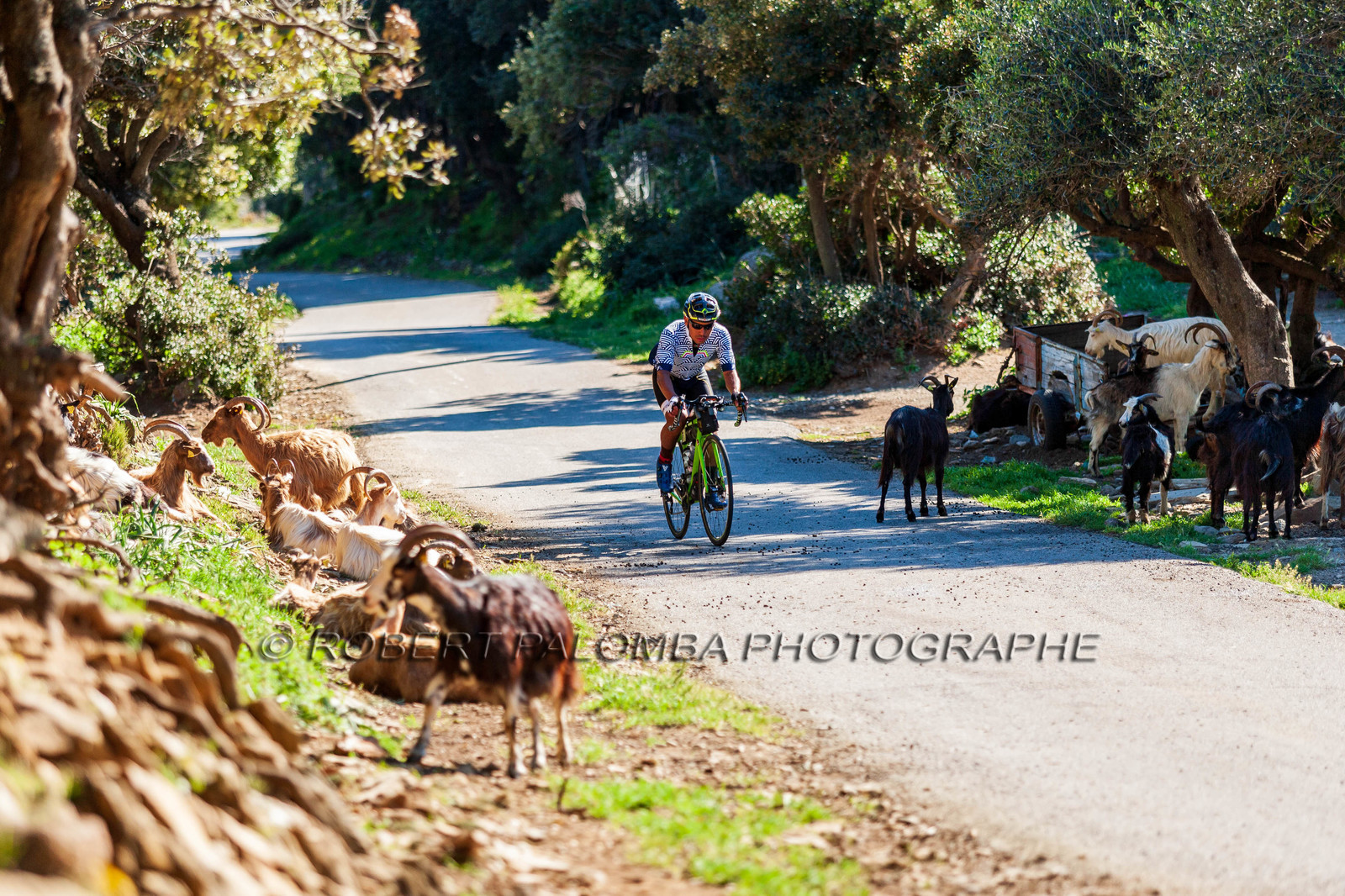 Bikingman Corsica 2019