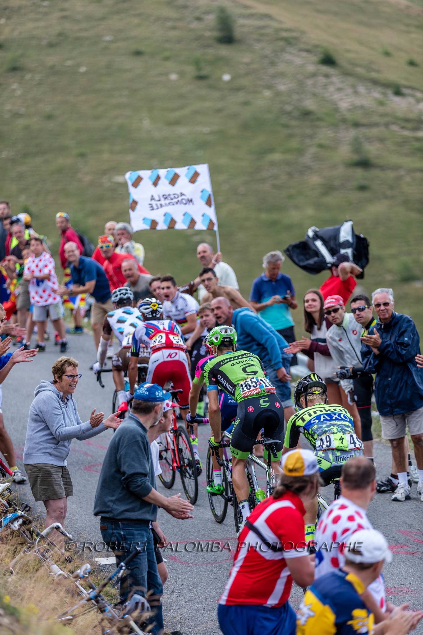 Tour de France 2015