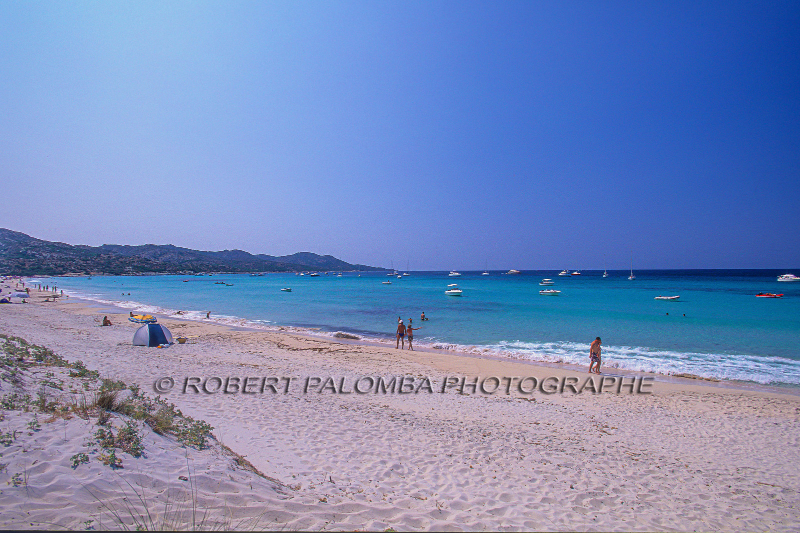 Saleccia