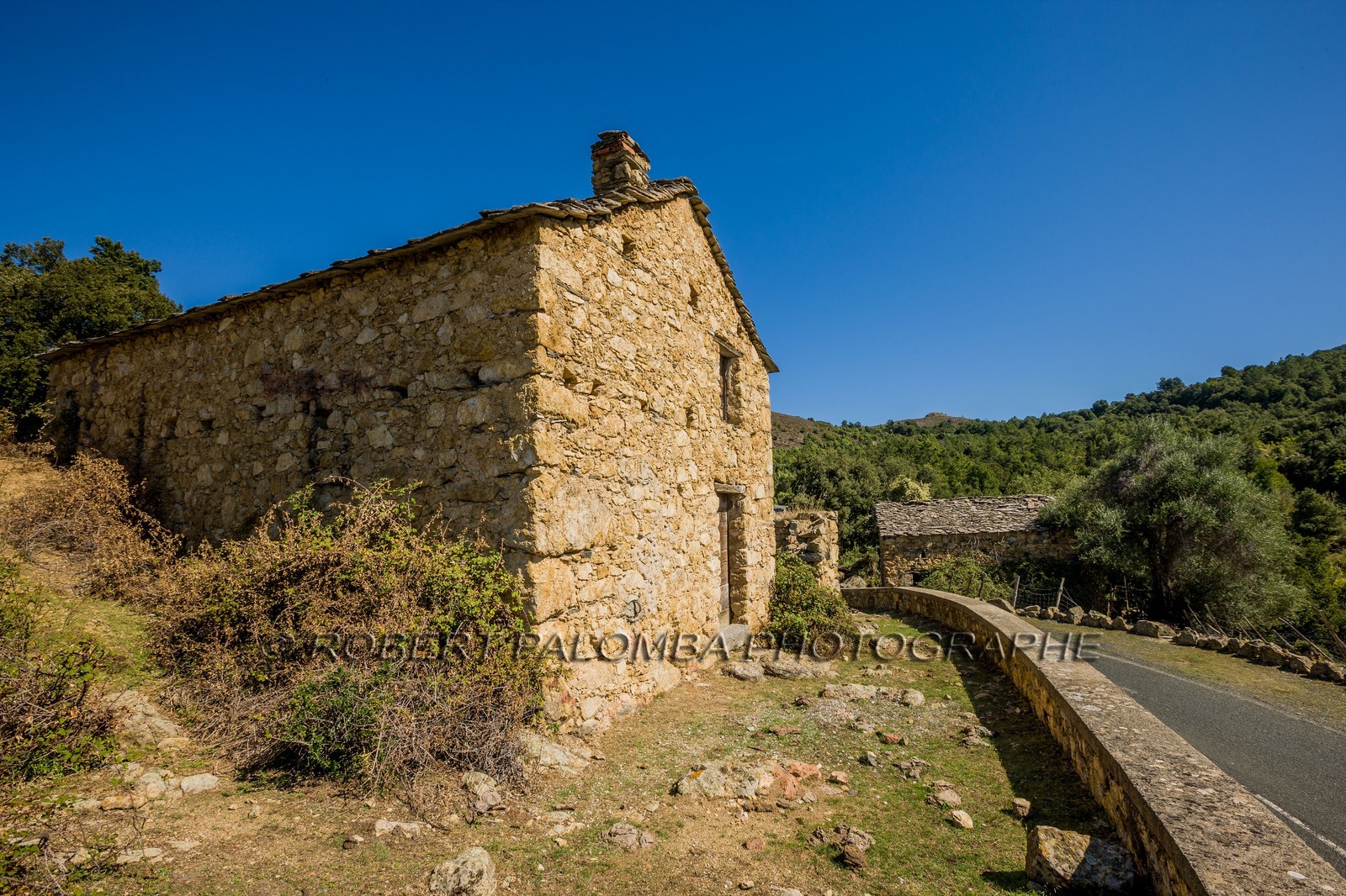 Morosaglia