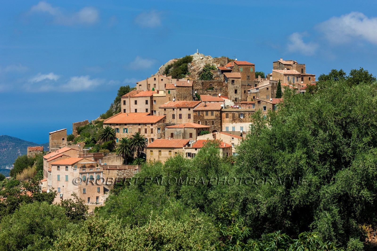 Belgodère