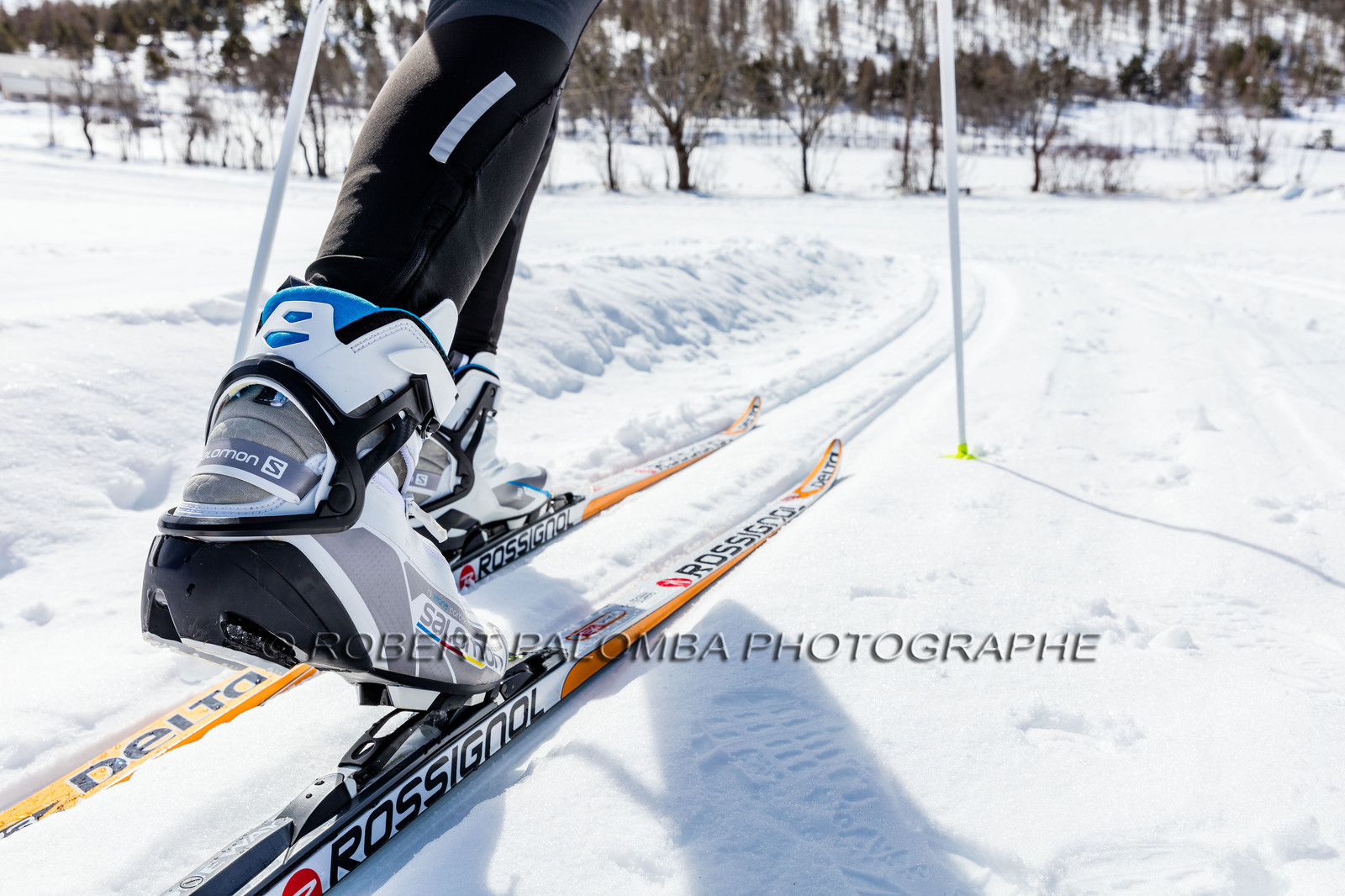 Ski-de-fond