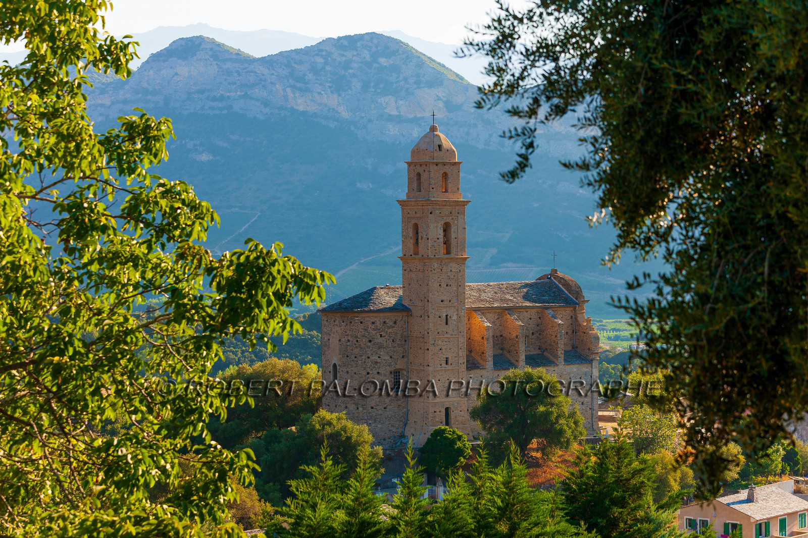 Patrimonio