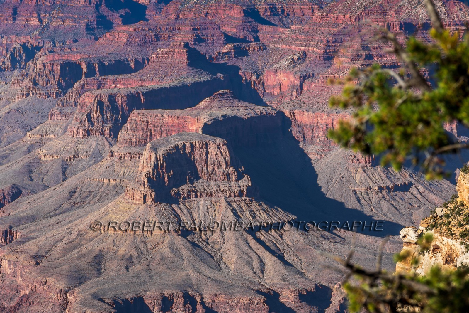Grand Canyon