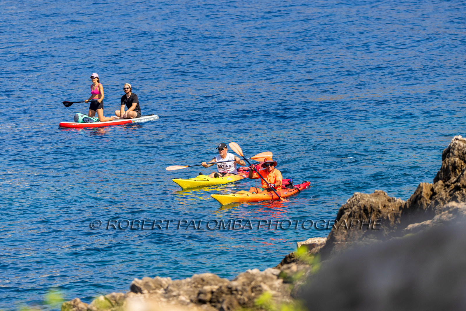 Paddle