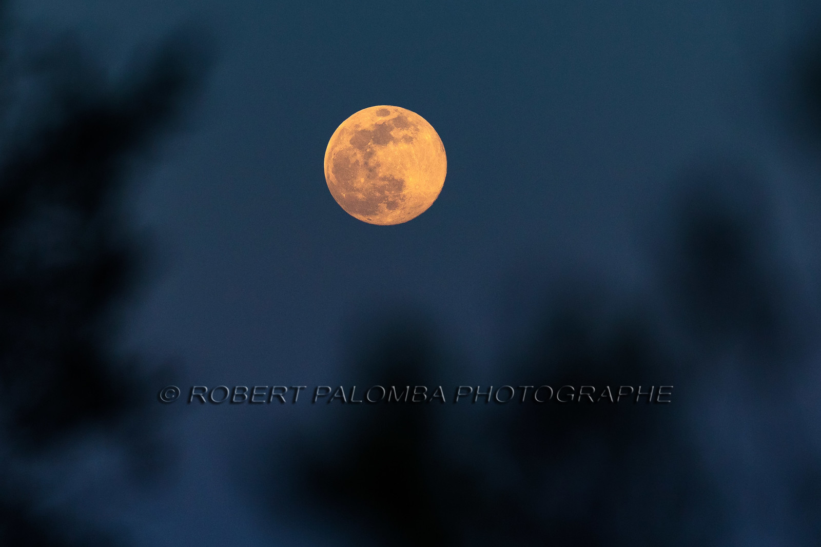 Lune