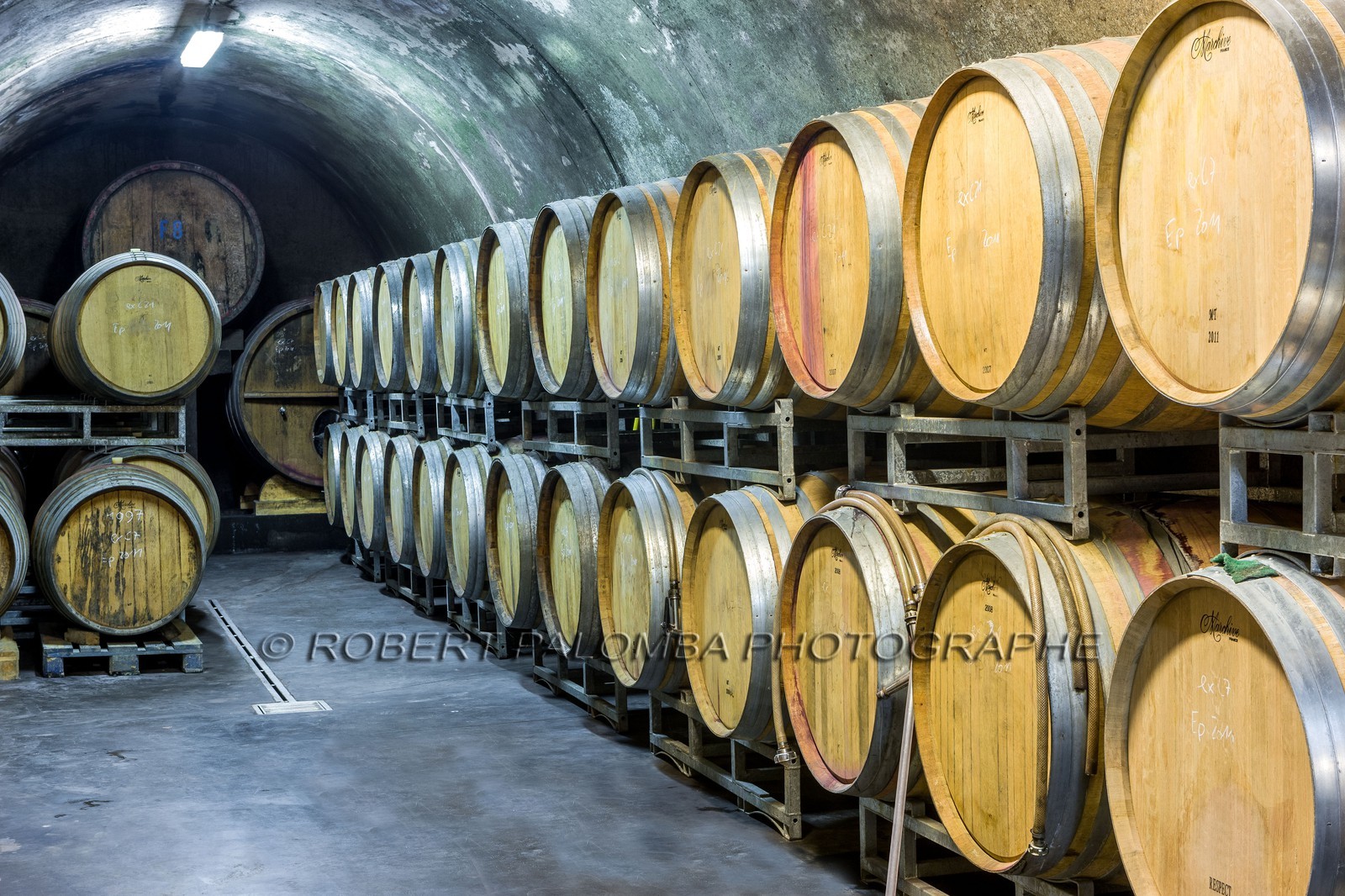 Vignoble corse
