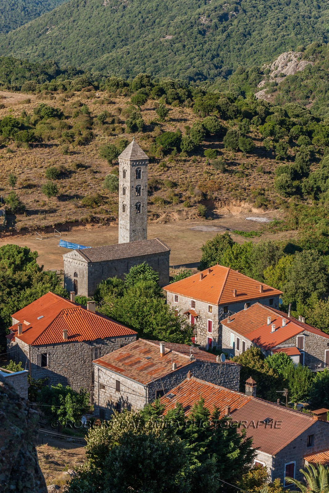 Carbini