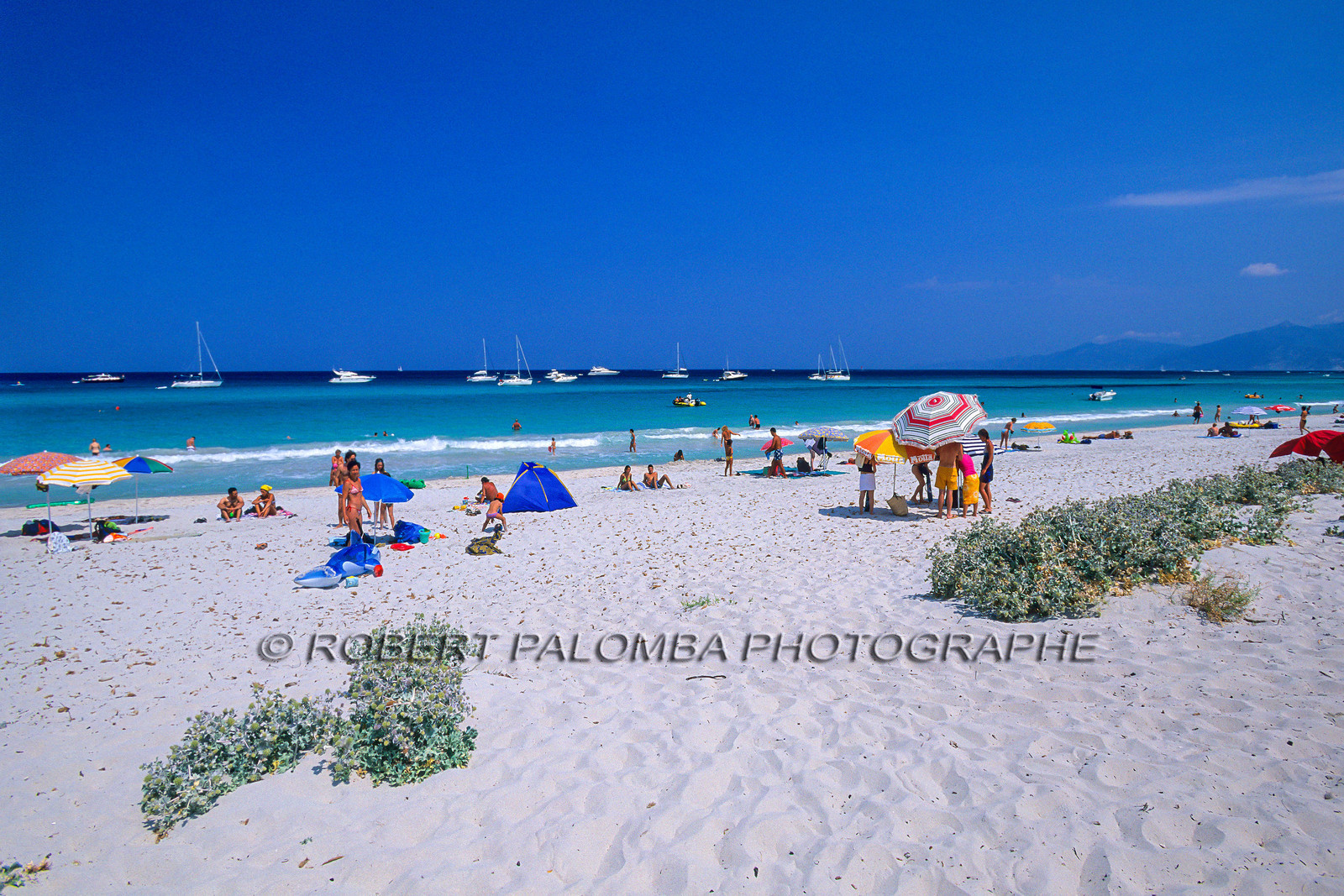 Saleccia