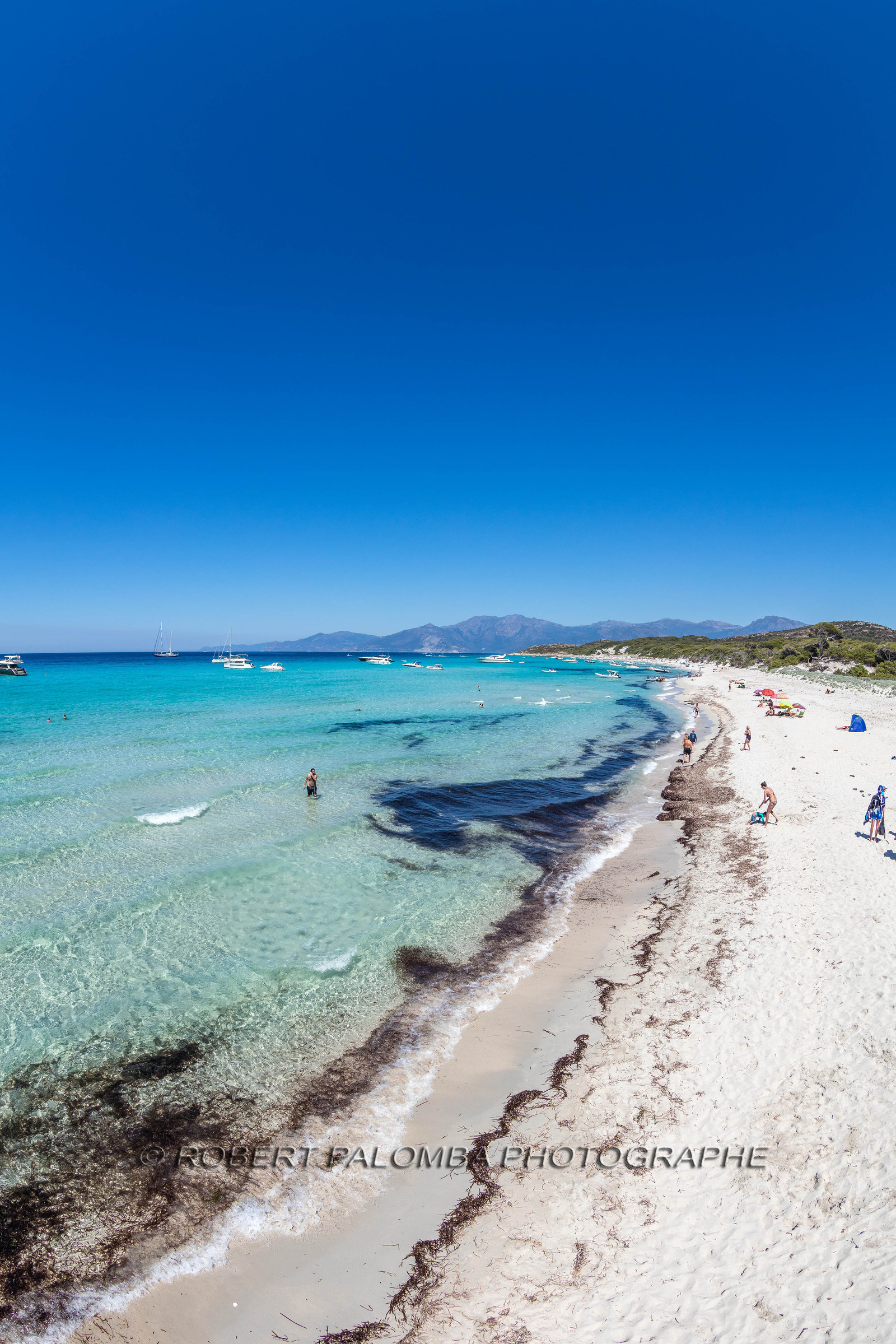Saleccia
