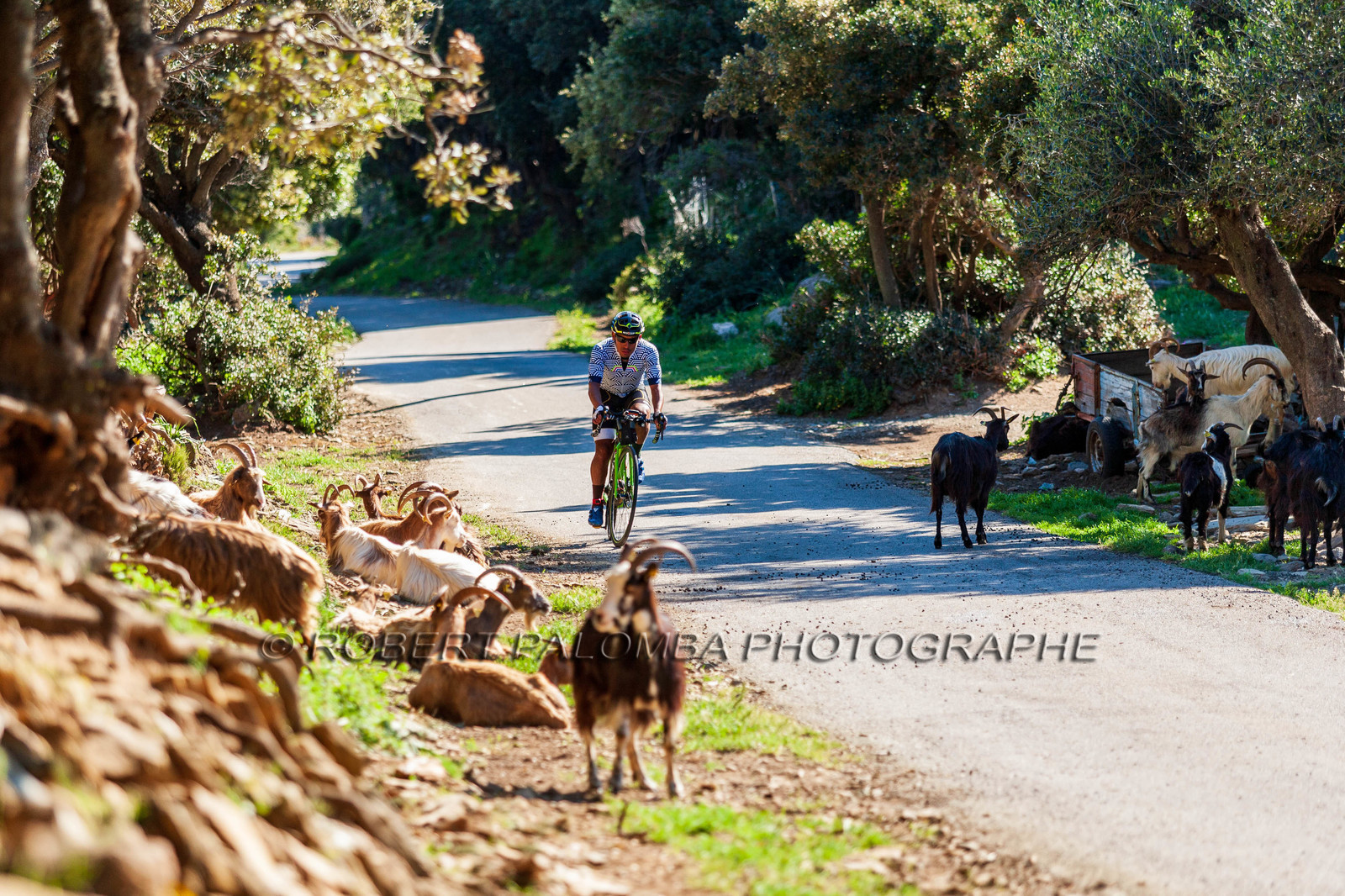 Bikingman Corsica 2019