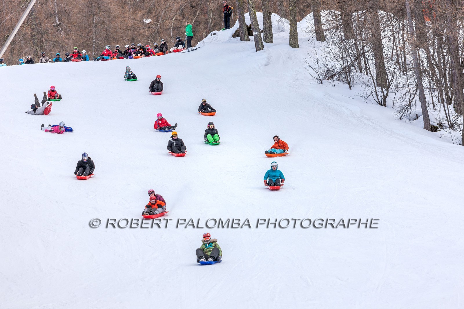 Luge