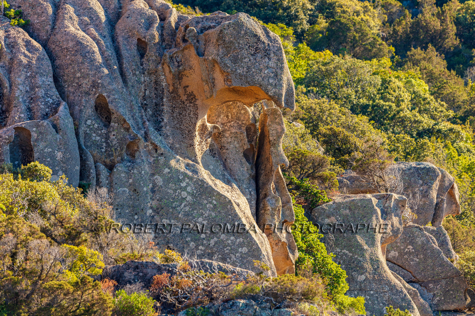 Roccapina