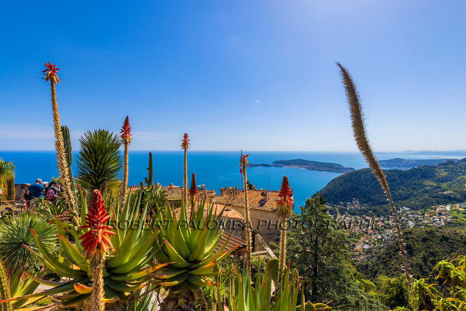 Eze Jardin exotique