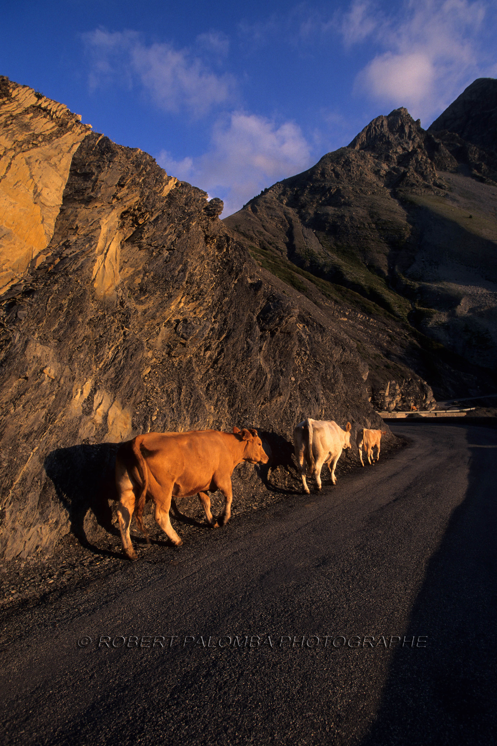Col des Champs