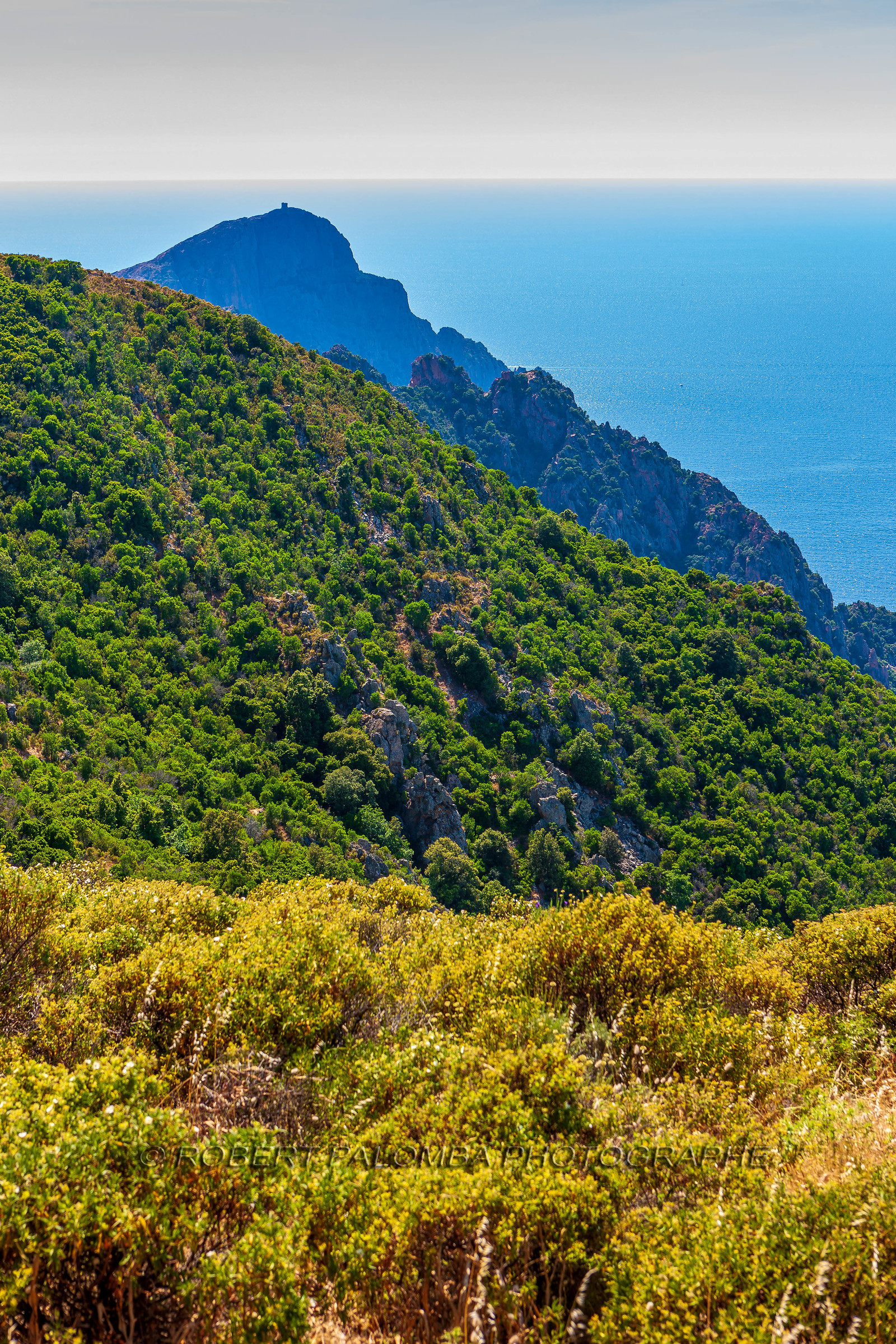 Piana