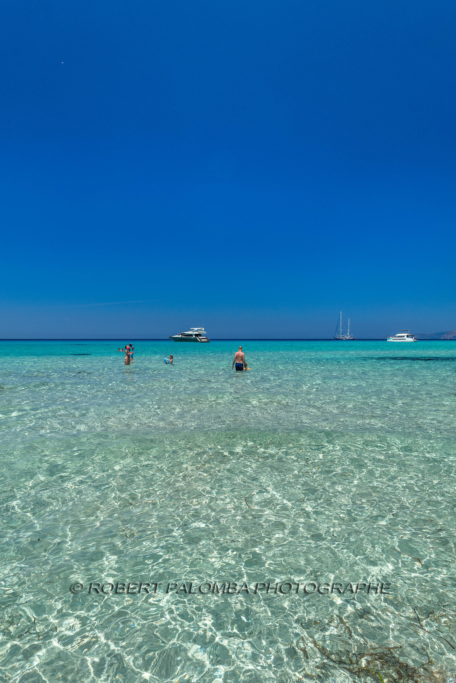 Saleccia