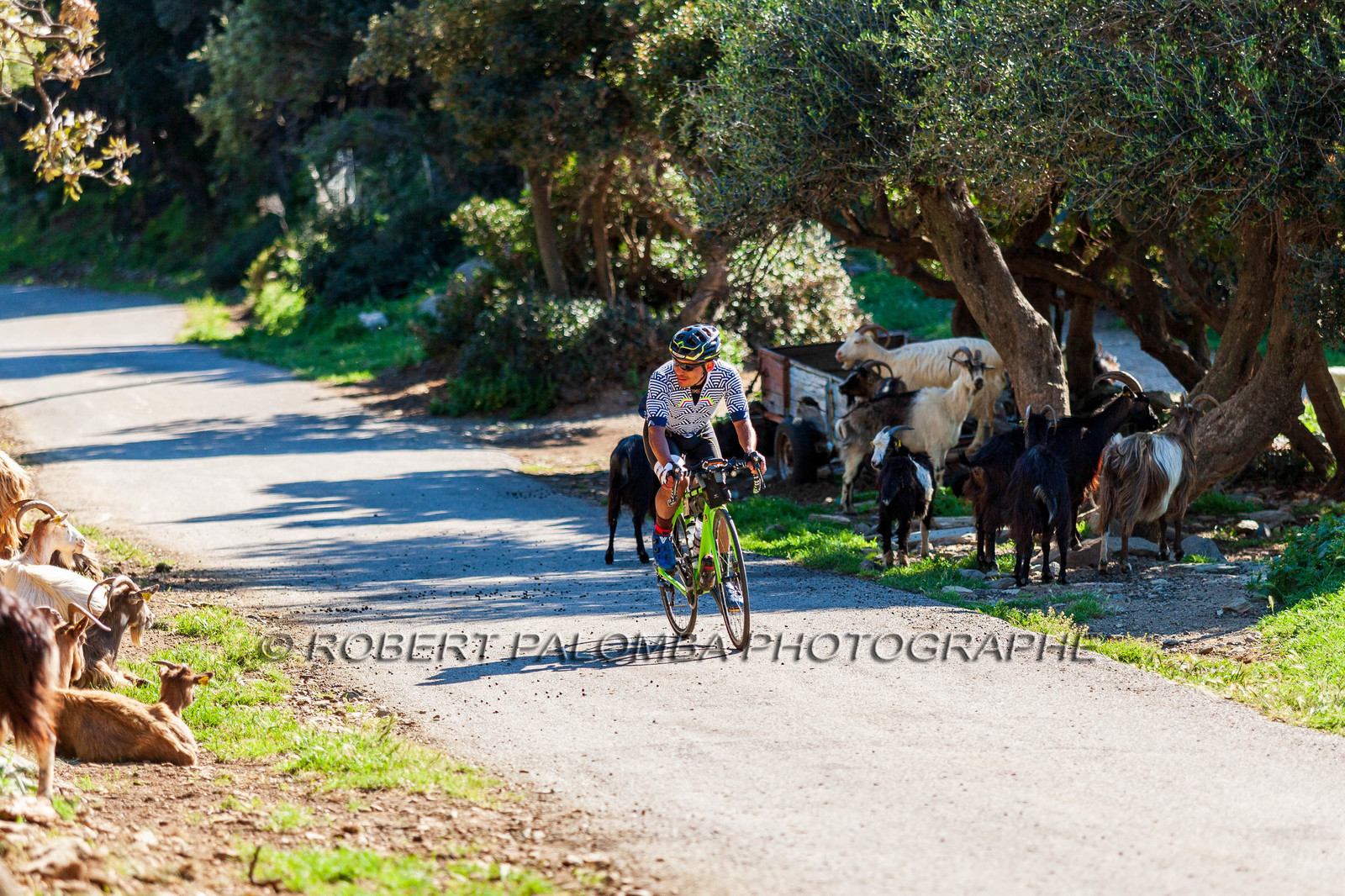Bikingman Corsica 2019