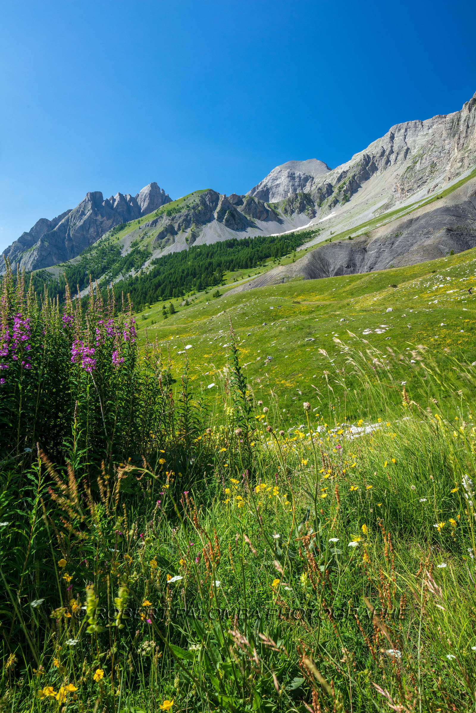 Col des Champs