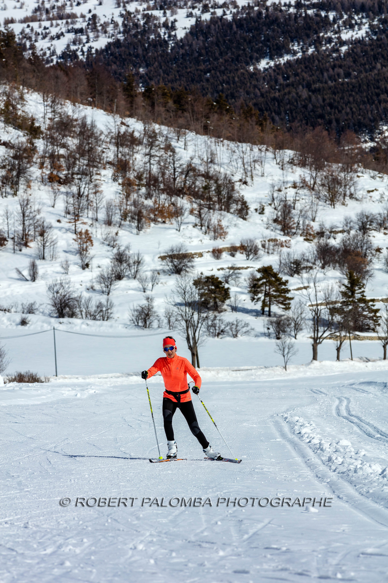 Ski-de-fond