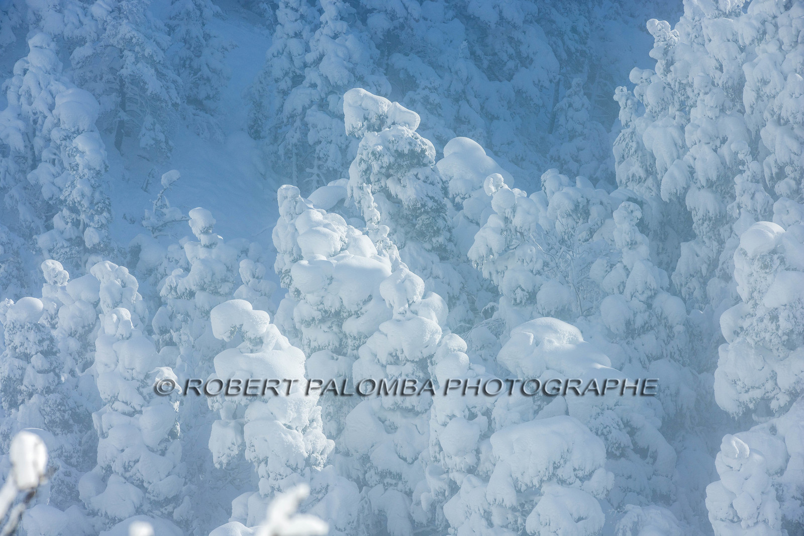 La-Colle-Saint-Michel