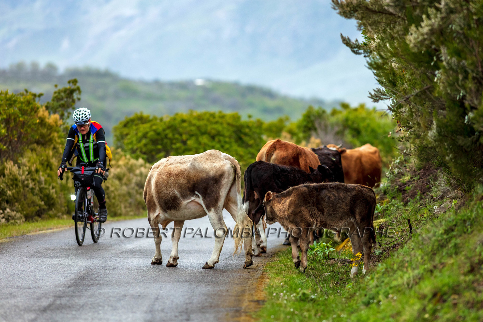 Col de Bigorno