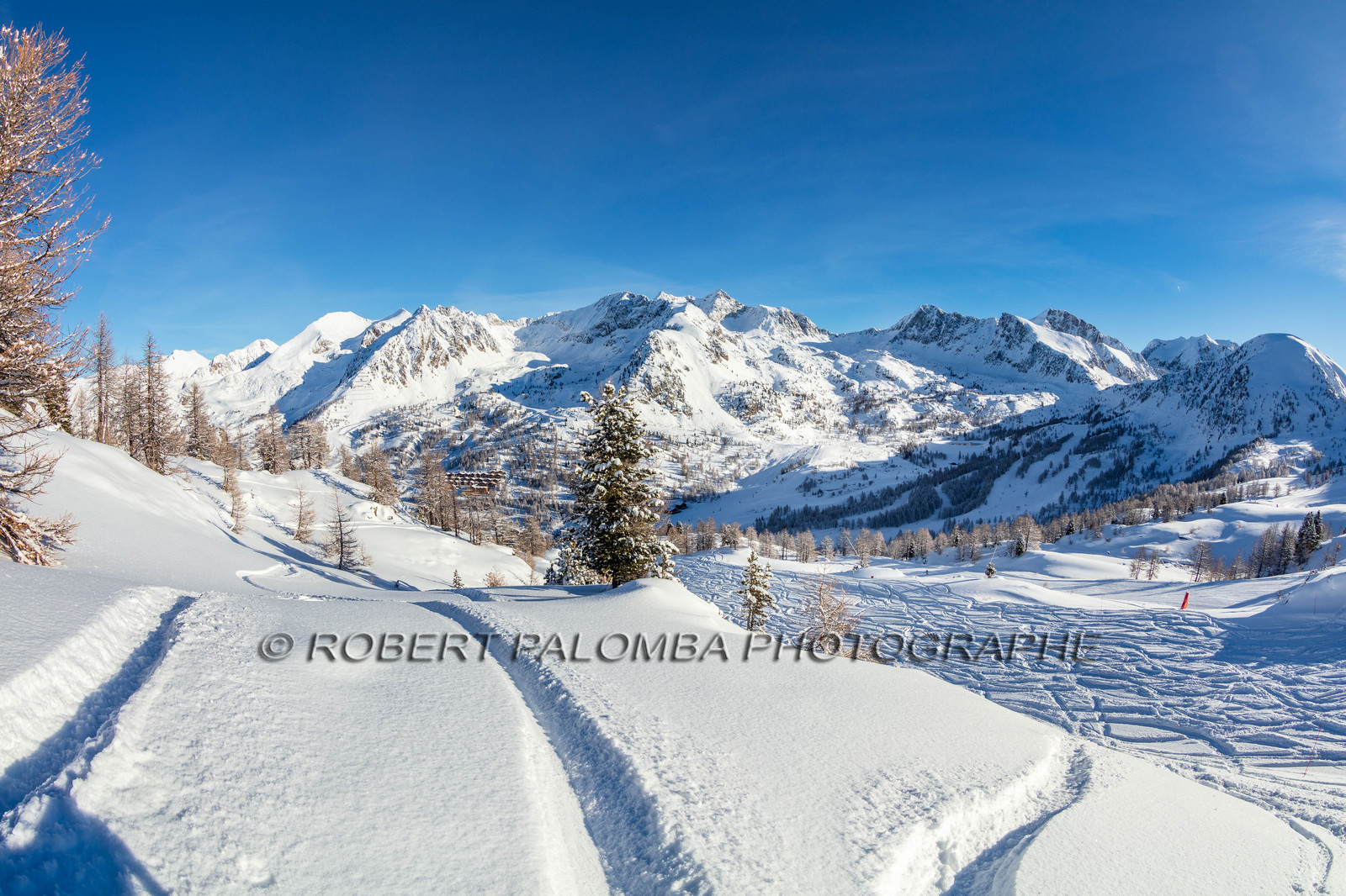 Isola 2000