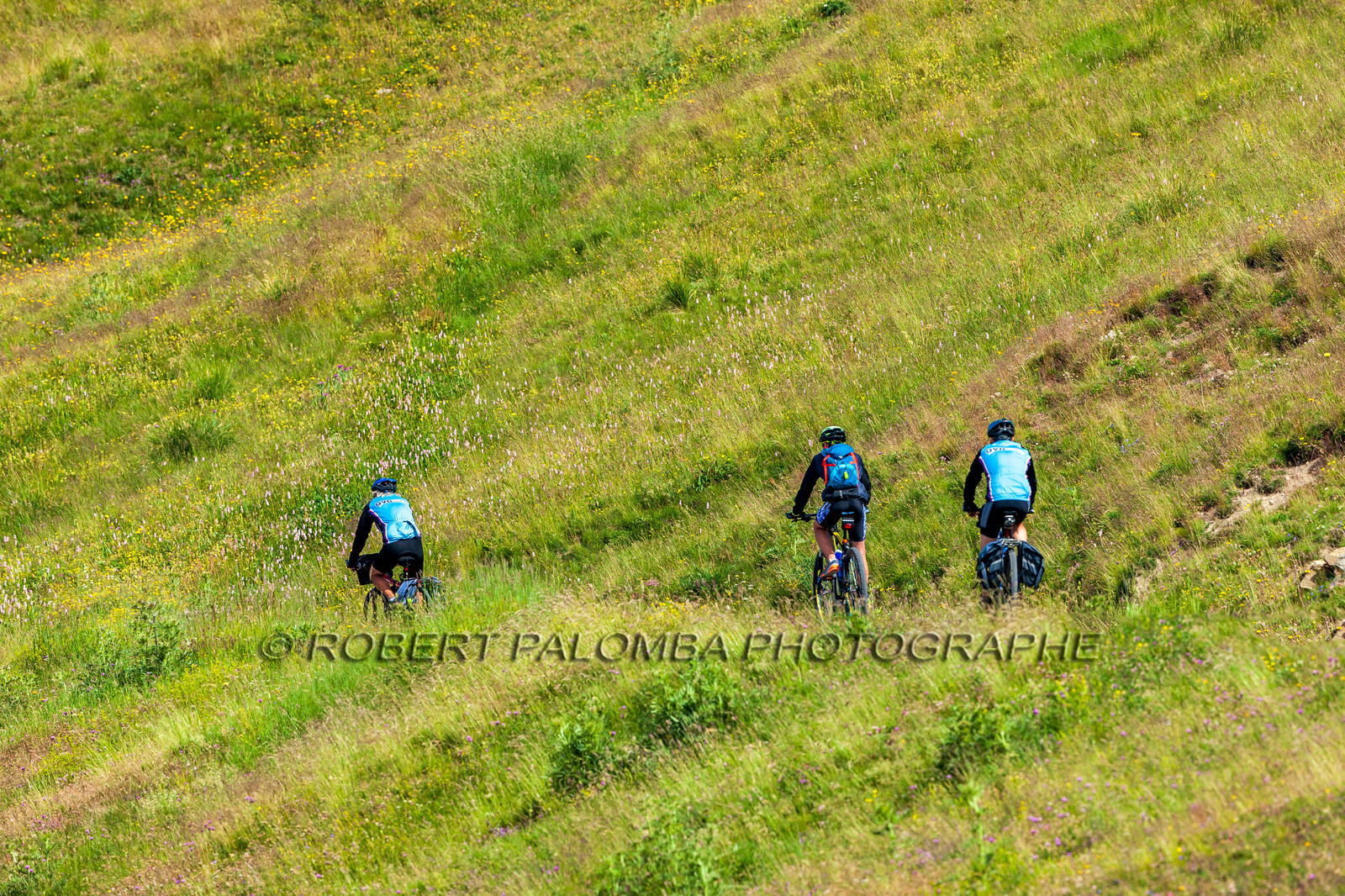 Col d'Allos