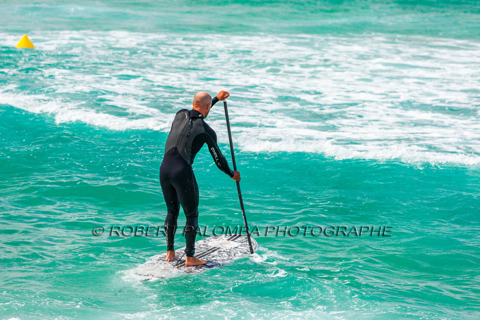 Paddle