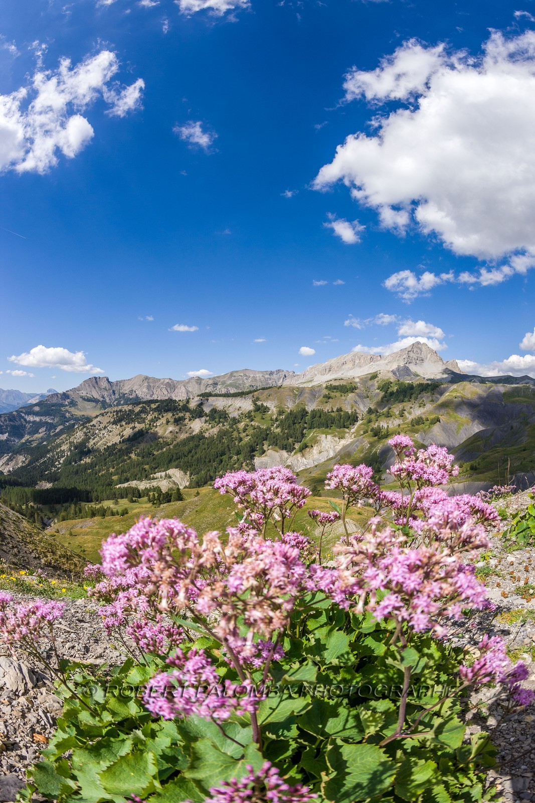 Col des Champs