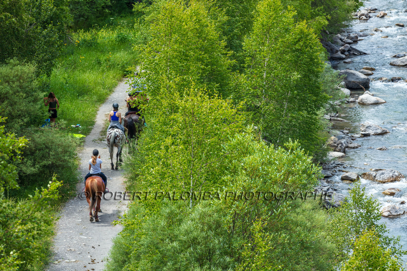 Equitation