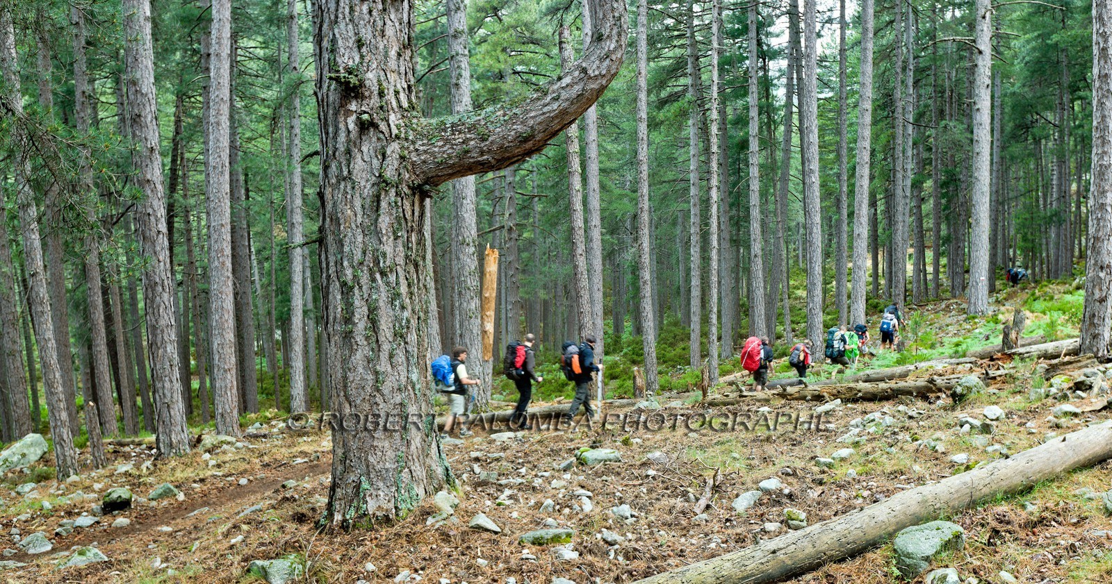 GR 20 Nord