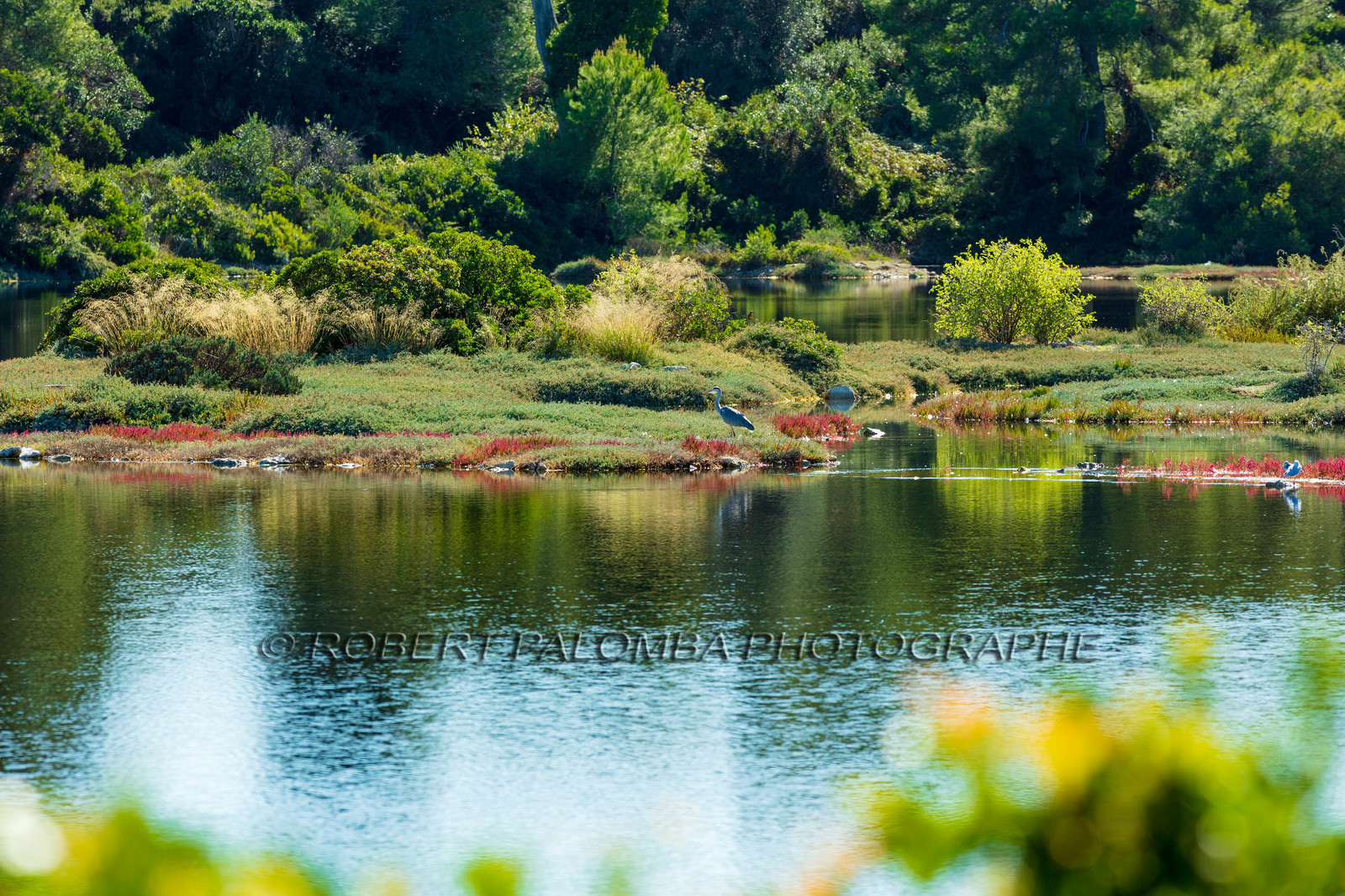 Lérins, Sainte-Marguerite