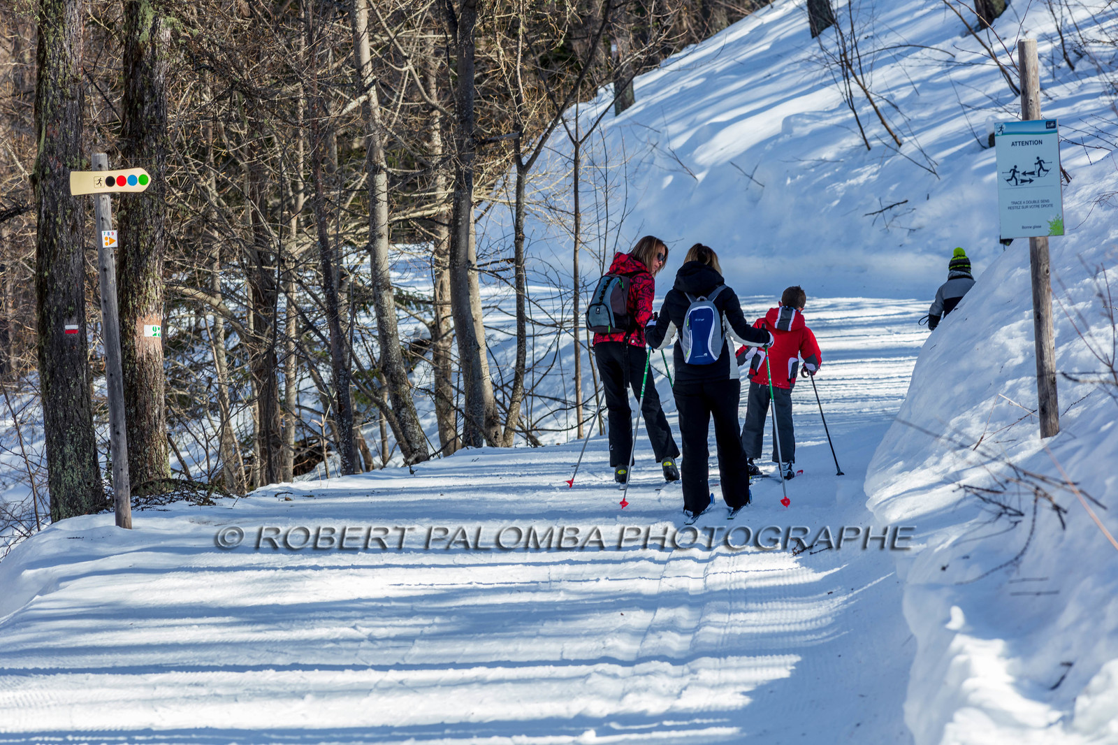 Ski-de-fond