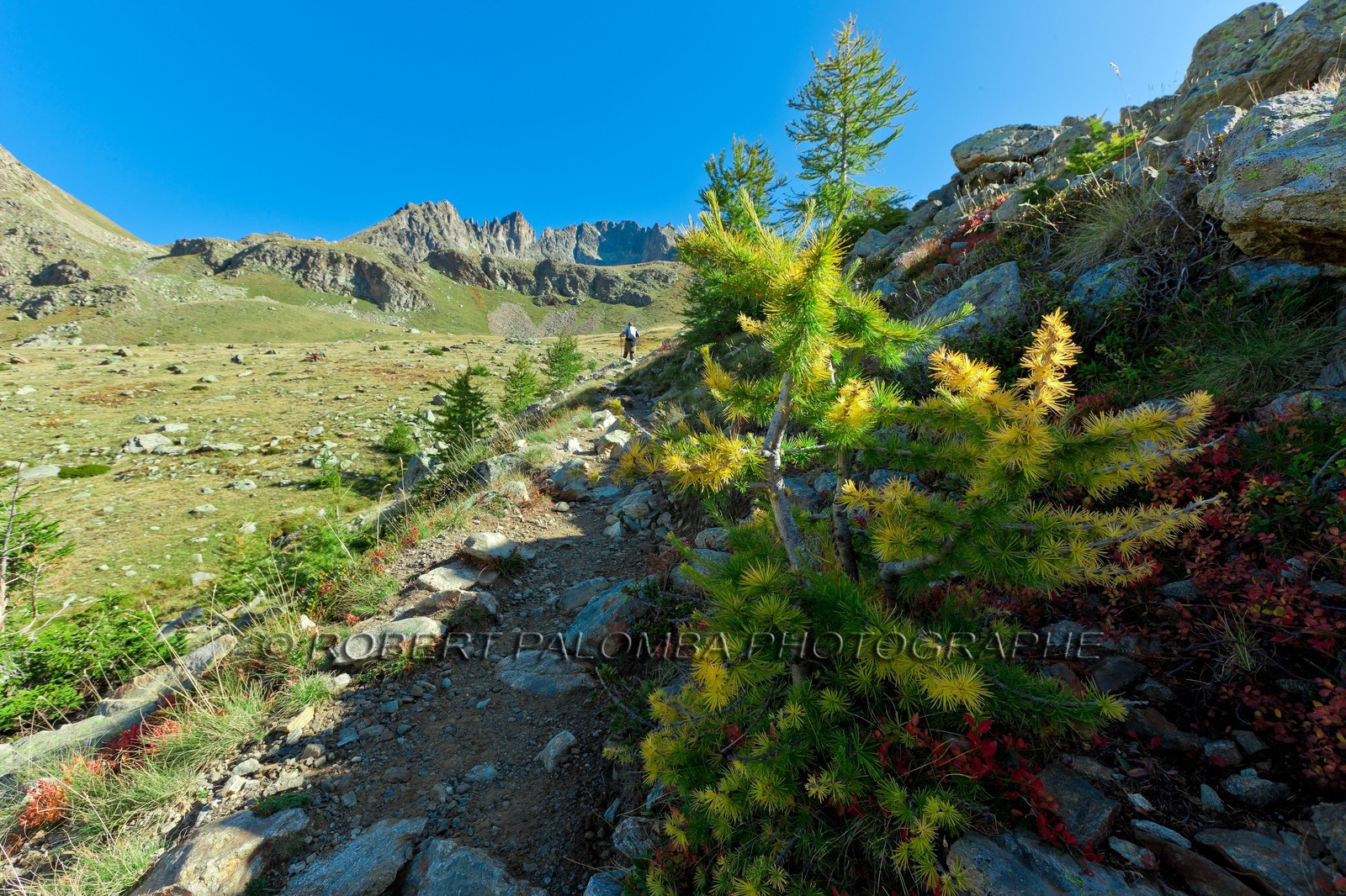 Vallon de Prals