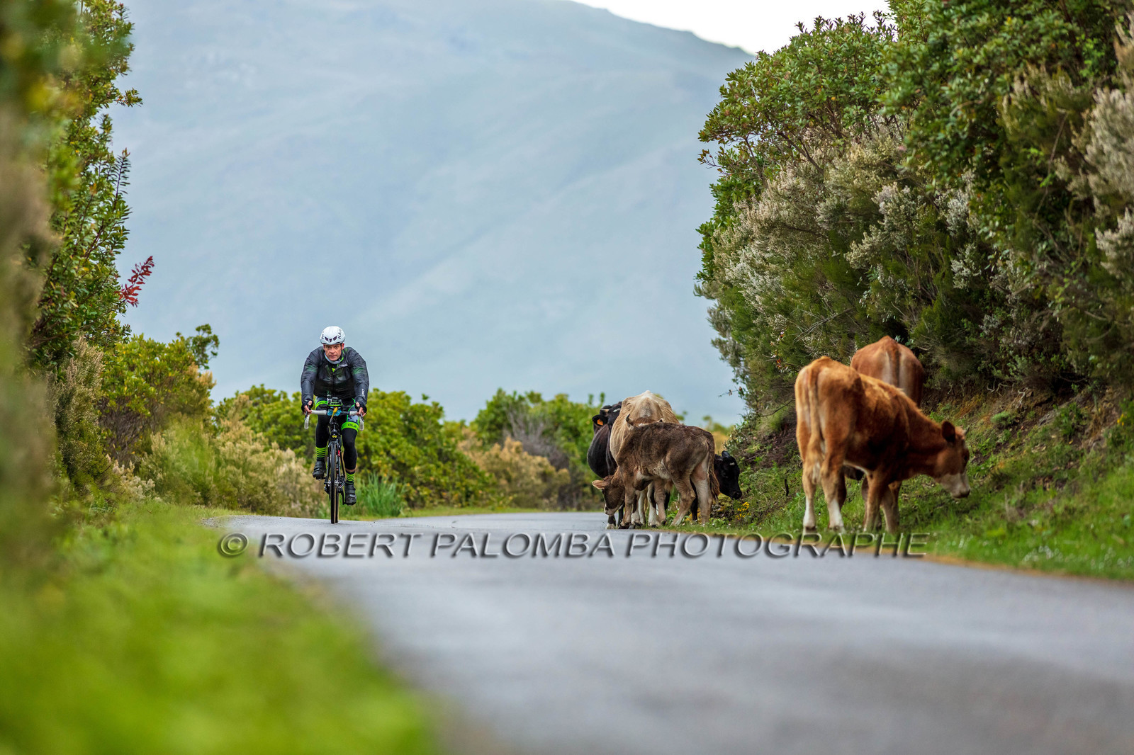 Bikingman Corsica 2019