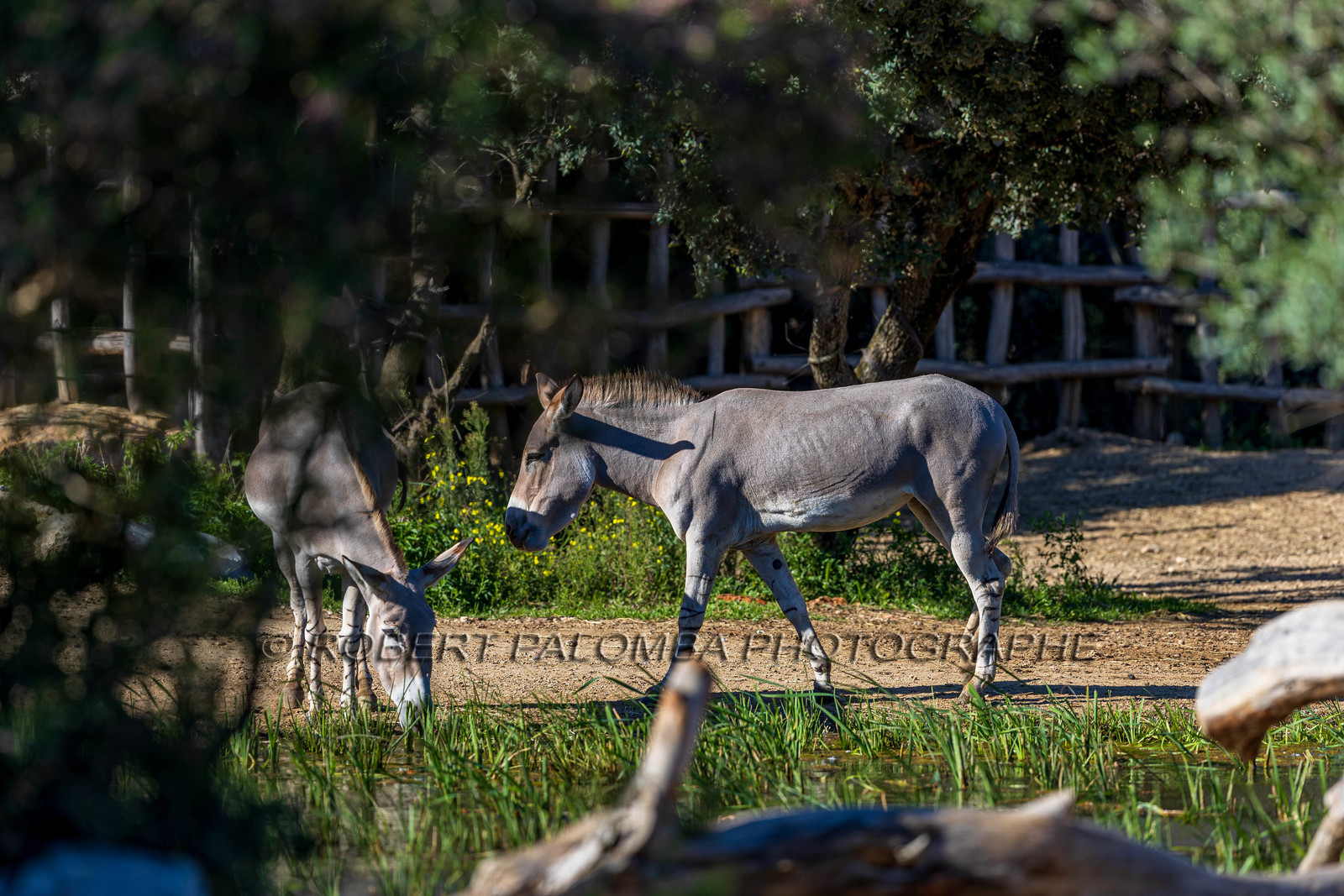 Parc animalier de la Barben