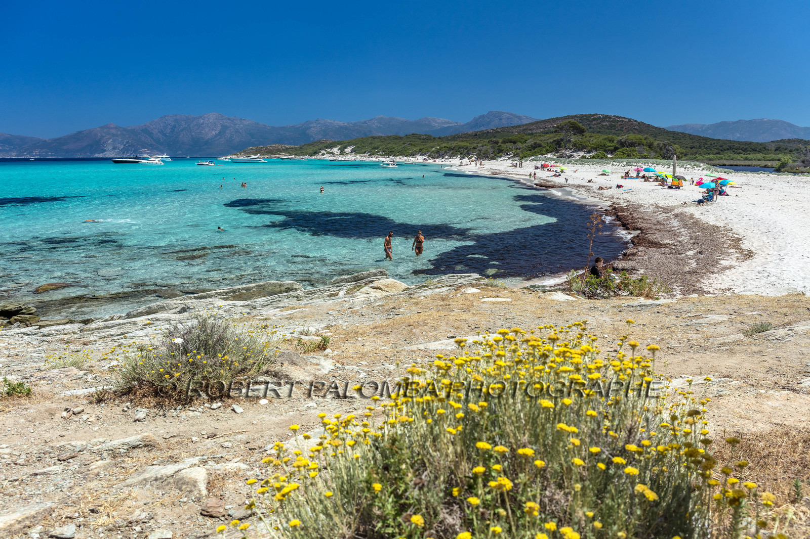 Saleccia