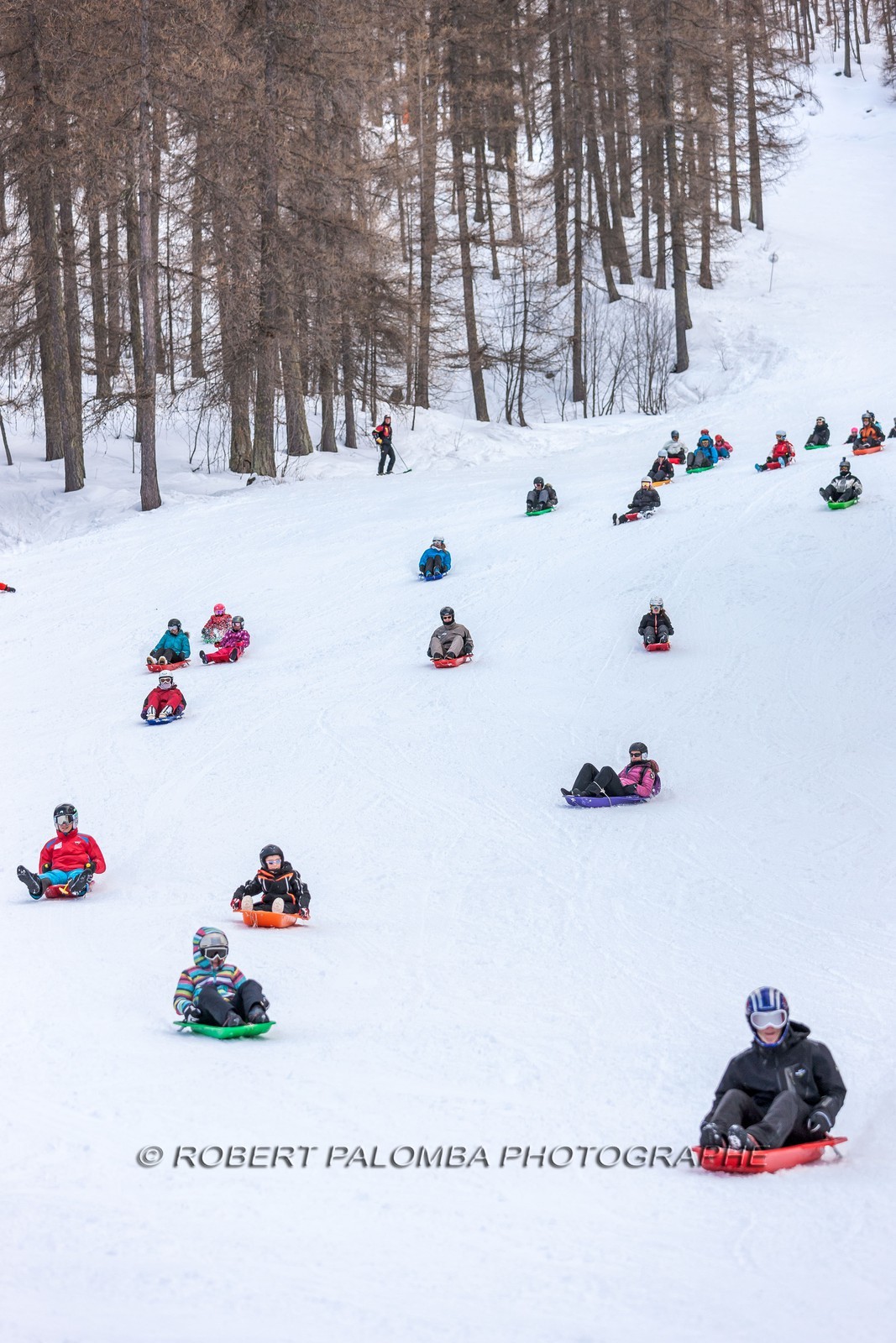 Luge