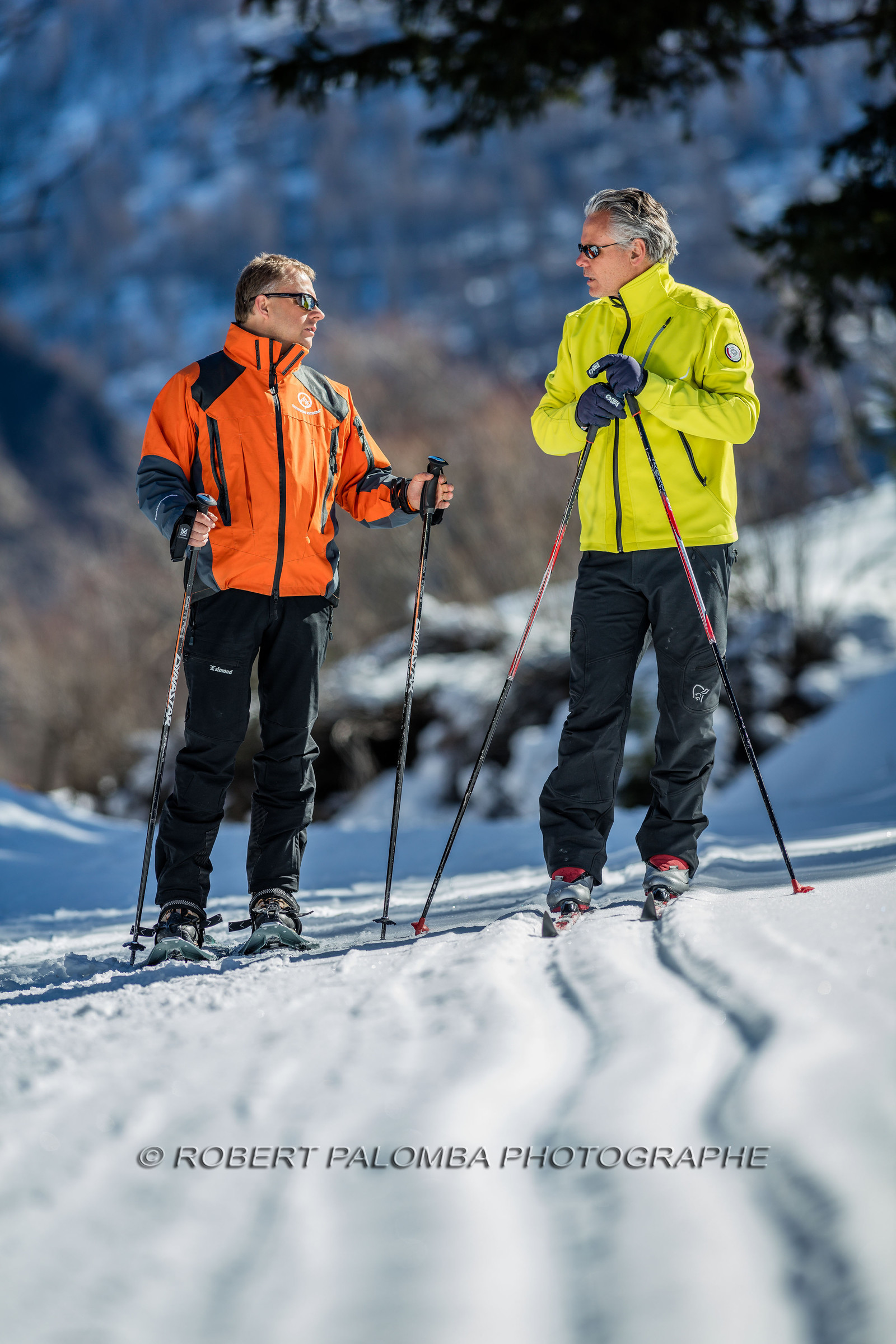 Ski de fond