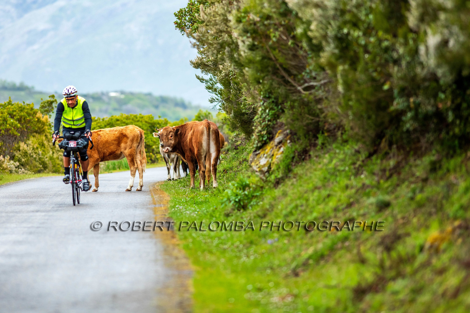 Bikingman Corsica 2019